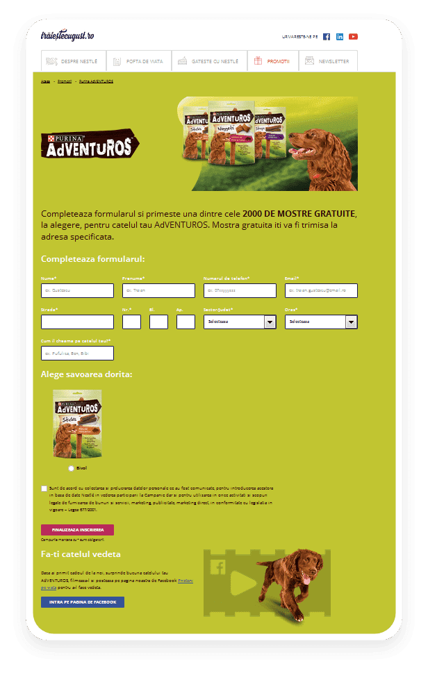 Nestlé Romania project visual: Multi-Brand Platform Tour